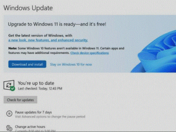 「Windows 11」が正式リリース.GIF
